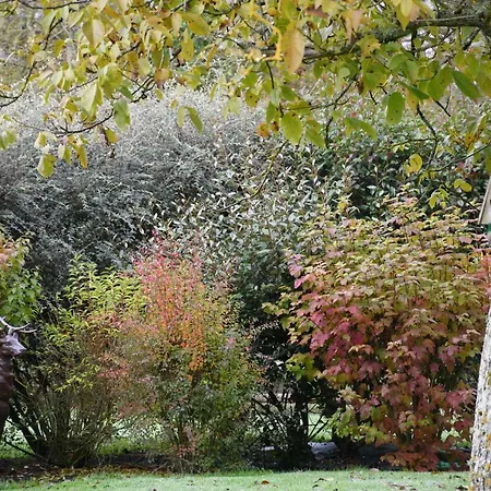 Domaine De La Lochetiere D'hotes *