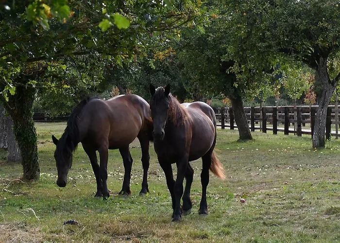 Bed & Breakfast Domaine De La Lochetiere D'hotes Normandel